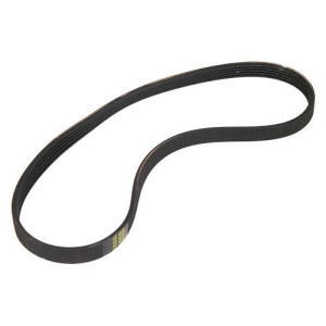 Whirlpool WPW10006384 Genuine OEM Drive Belt
Fits: W10006384 W10808317 Whirlpool WPW10006384 Genuine OEM Drive Belt
Fits: W10006384 W10808317